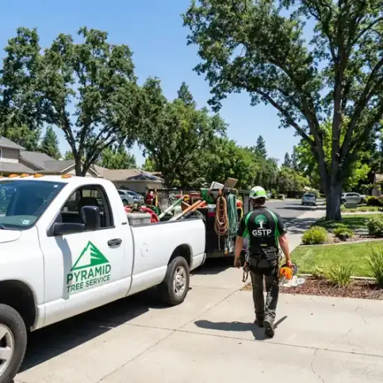 Leo's Tree Care truck arriving at a Philadelphia residential job